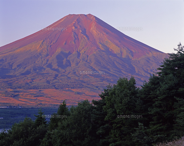 高座山より秋の赤富士[02741000212]の写真・イラスト素材｜アマナ