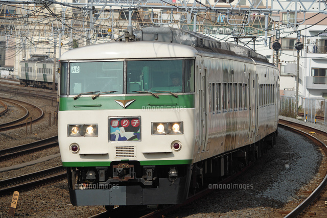 特急 「踊り子」185系[02772000789]の写真・イラスト素材｜アマナ