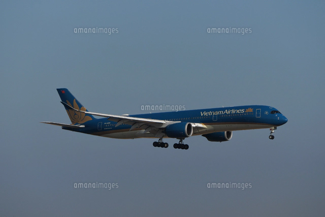 エアバスA340-300,スカンジナビア航空[02772001155]の写真