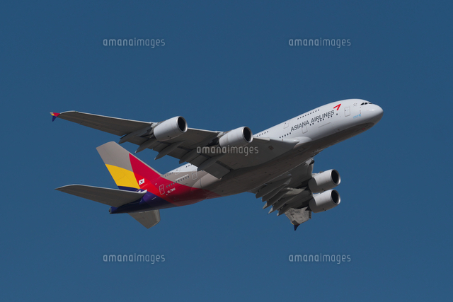 エアバスA380,アシアナ航空[02772001195]の写真・イラスト素材
