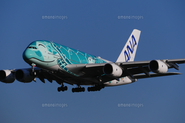 エアバスa380 フライングホヌ 全日空 の写真素材 イラスト素材 アマナイメージズ