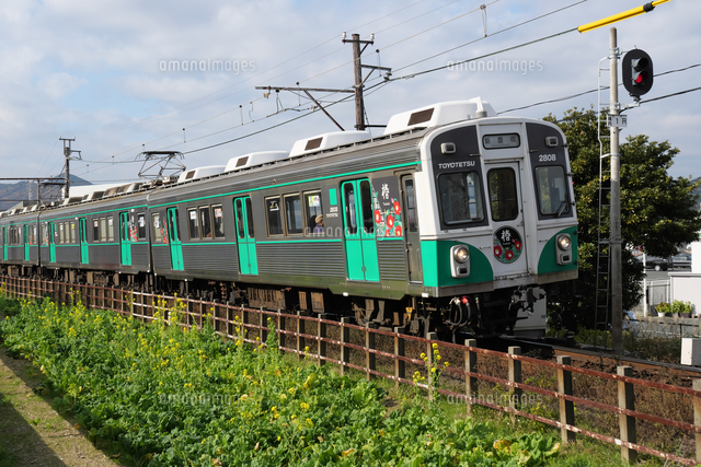 豊橋鉄道1800系カラフルトレイン[02772001541]の写真・イラスト素材