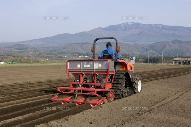 嬬恋高原のキャベツ作り 畦をおこす の写真素材 イラスト素材 アマナイメージズ