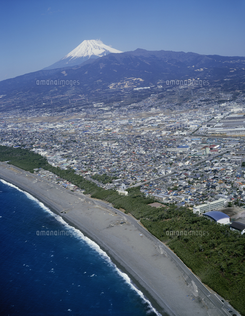 千本松原と沼津市街と富士山 の写真素材 イラスト素材 アマナイメージズ