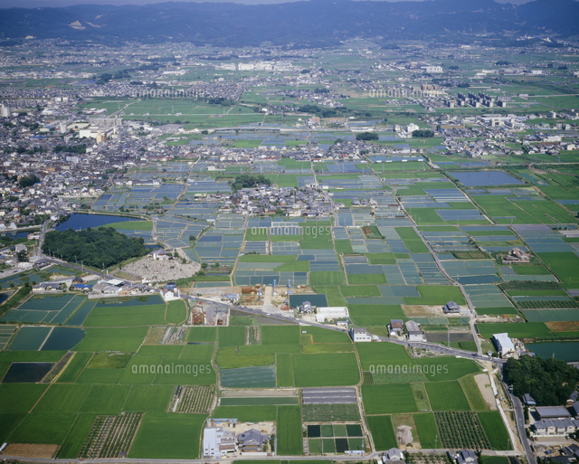 大和郡山の金魚養殖池群 の写真素材 イラスト素材 アマナイメージズ