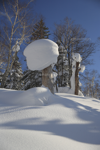 雪の木 雪景色＿枯れ木に積もる雪 - 20071204_190985.jpg