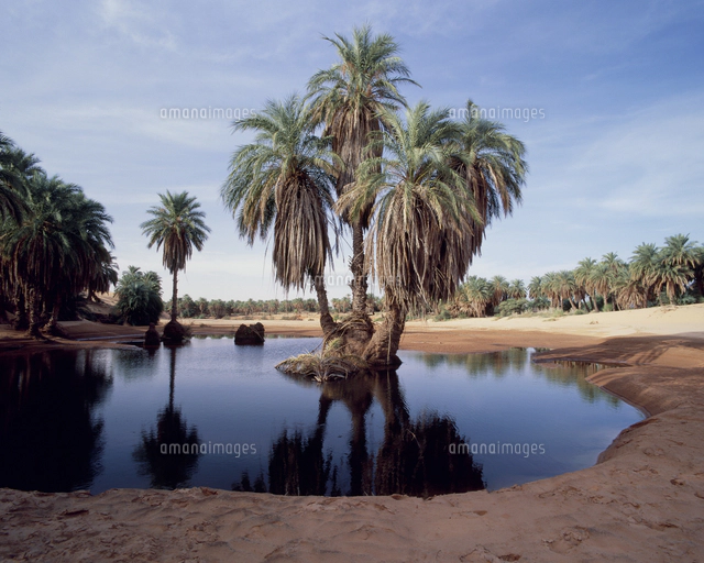砂漠 オアシスの写真素材 ストックフォト アマナイメージズ