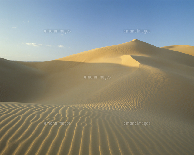 サハラ砂漠 の写真素材 イラスト素材 アマナイメージズ
