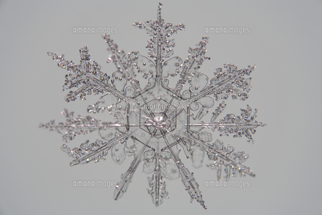 顕微鏡写真の雪の結晶 02861002754 の写真素材 イラスト素材 アマナイメージズ