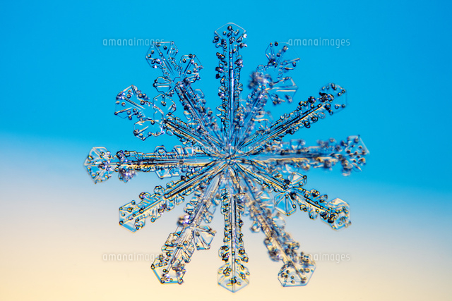 雪の結晶 雲粒付12花 の写真素材 イラスト素材 アマナイメージズ
