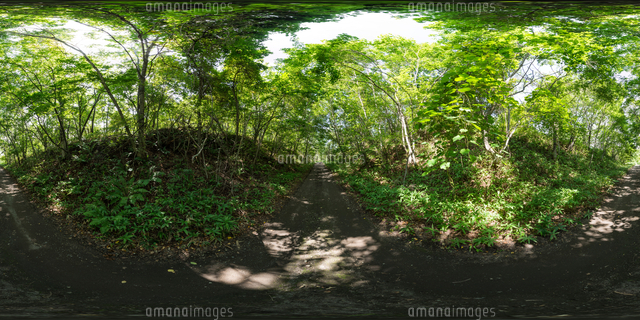 釧路川へ続く山道 の写真素材 イラスト素材 アマナイメージズ