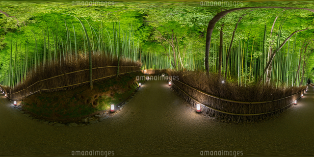京都嵐山 竹林の道 ライトアップ 嵐山花灯路 の写真素材 イラスト素材 アマナイメージズ