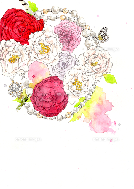 パールのネックレスと薔薇 の写真素材 イラスト素材 アマナイメージズ