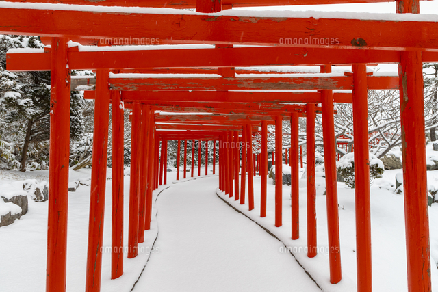 千本裕三、【紅葉の境内（談山神社）】、希少な大判額装用画集より、美品、日本人画家 kemikemiさんの投稿/高山稲荷神社 ｜ ことりっぷ