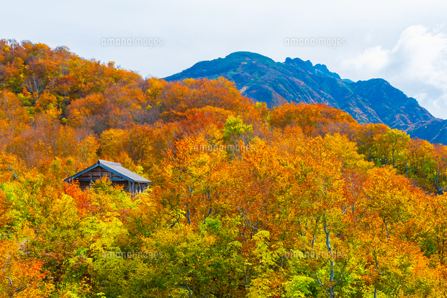 八海山展望台から八海山[02913004288]の写真・イラスト素材｜アマナ