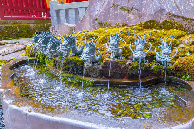 九頭龍神社の成就水盤[02913004294]の写真・イラスト素材｜アマナ