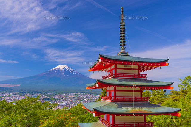 新倉富士浅間神社の忠霊塔と富士山[02913005100]の写真