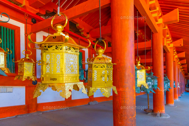 春日大社の吊り灯篭[02913006262]の写真・イラスト素材｜アマナイメージズ