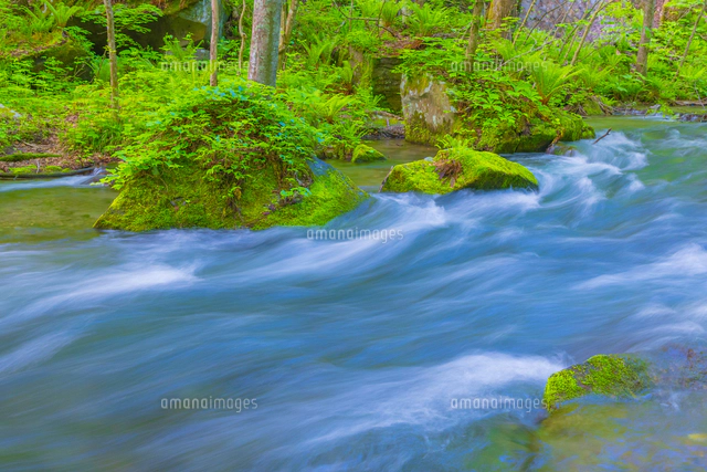 奥入瀬渓流の銚子大滝[02913006654]の写真・イラスト素材｜アマナ