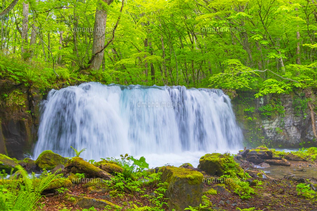 奥入瀬渓流の銚子大滝[02913006654]の写真・イラスト素材｜アマナ
