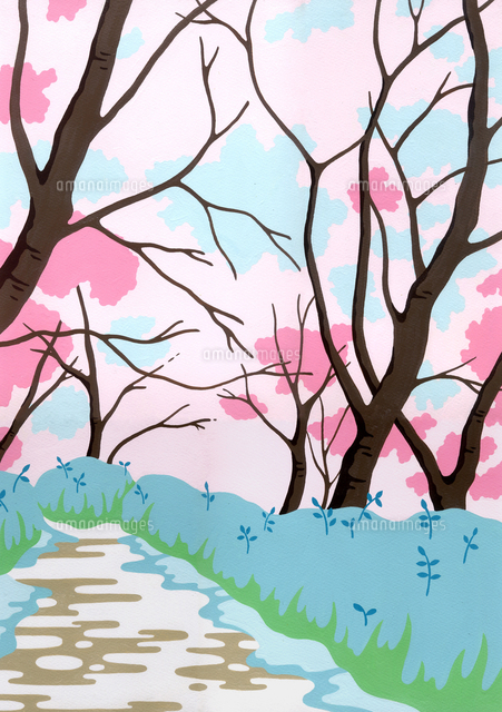 桜並木 の写真素材 イラスト素材 アマナイメージズ