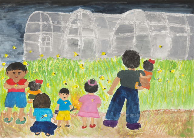 たんぼとほたる の写真素材 イラスト素材 アマナイメージズ