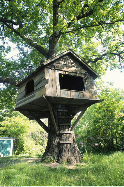 Tree House の写真素材 イラスト素材 アマナイメージズ Tree House の写真素材 イラスト素材 アマナイメージズ