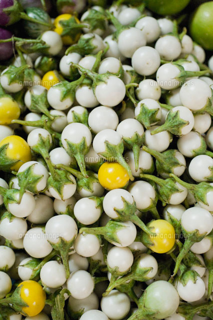 Thai Kermit Eggplants の写真素材 イラスト素材 アマナイメージズ