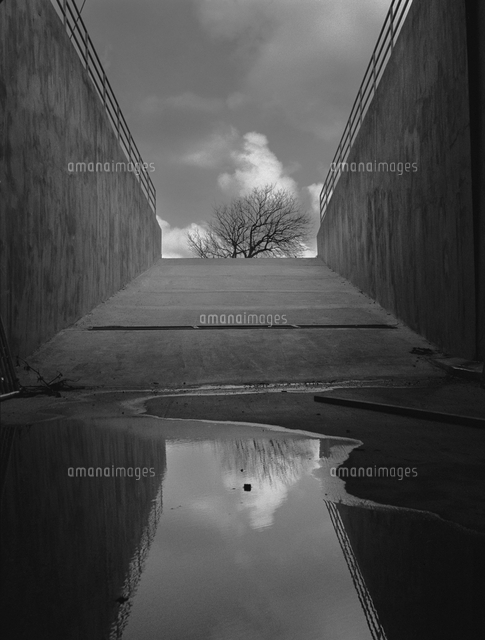 Bridge After Rain の写真素材 イラスト素材 アマナイメージズ
