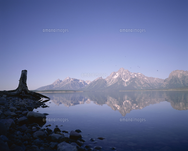 Earling Morning Reflections Jackson Lake Grand Teton National Park Wyoming United States Of Amer の写真素材 イラスト素材 アマナイメージズ