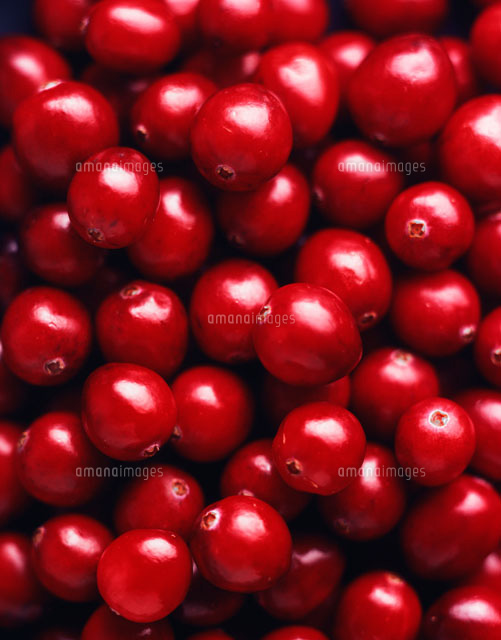 クランベリー の写真素材 イラスト素材 アマナイメージズ
