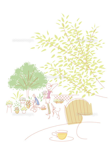 庭でガーデニングをする夫婦 の写真素材 イラスト素材 アマナイメージズ