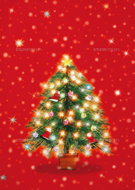 クリスマスツリー[20037004130]の写真・イラスト素材｜アマナイメージズ
