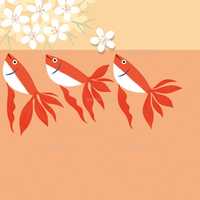 3匹の金魚と花 の写真素材 イラスト素材 アマナイメージズ 3匹の金魚と花 の写真素材 イラスト素材 アマナイメージズ