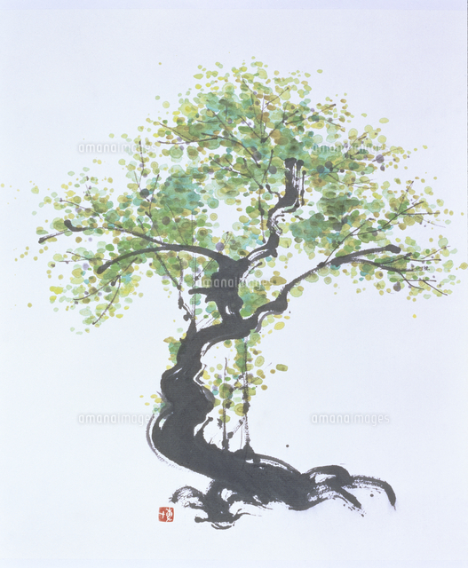 木 水墨画 の写真素材 イラスト素材 アマナイメージズ