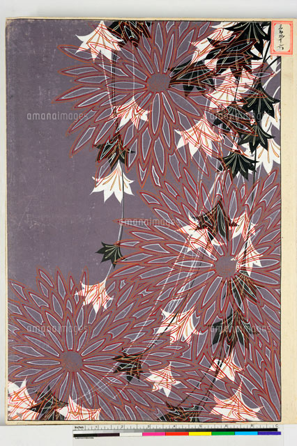 友禅図案（秋模様友禅図案集より）[20046002562]の写真・イラスト素材