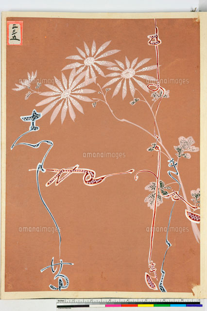 友禅図案（芦手模様友禅図案集より）[20046003727]の写真・イラスト