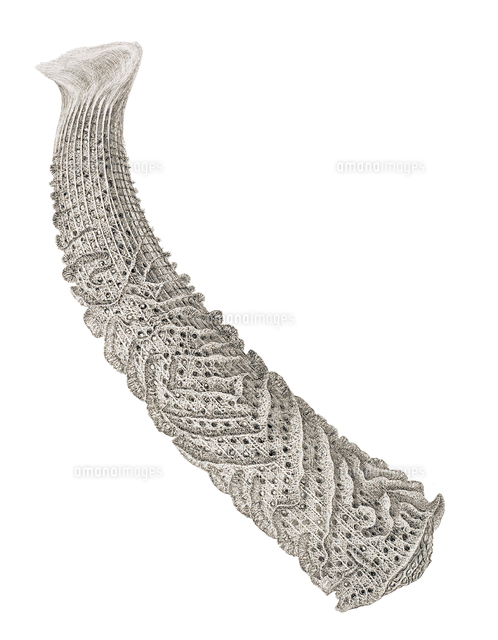 カイロウドウケツ の写真素材 イラスト素材 アマナイメージズ