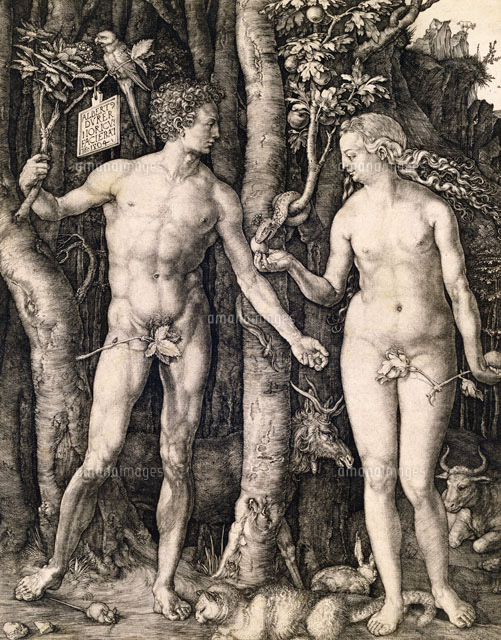 Adam And Eve By Albrecht Durer Nuremberg Germany 1504 の写真素材 イラスト素材 アマナイメージズ