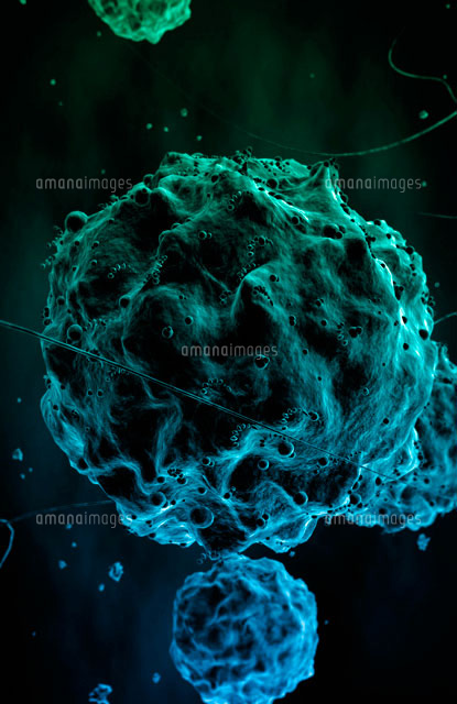 Natural Killer Cell 93 の写真素材 イラスト素材 アマナイメージズ