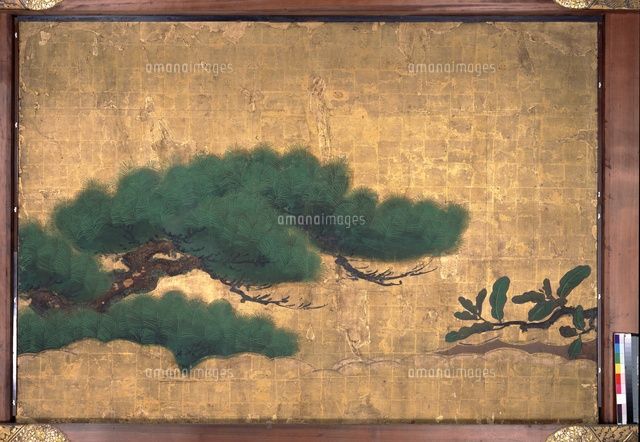 松鷹図 松鷹図 20061000184 の写真・イラスト素材