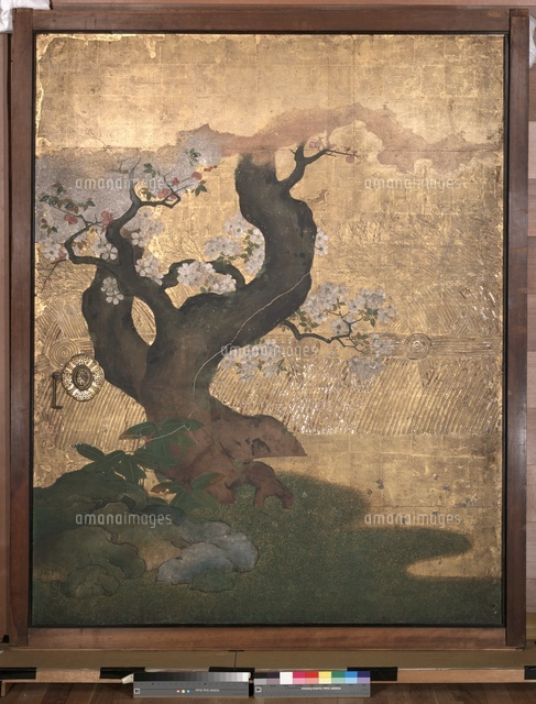 松桜禽鳥図[20061000234]の写真・イラスト素材｜アマナイメージズ