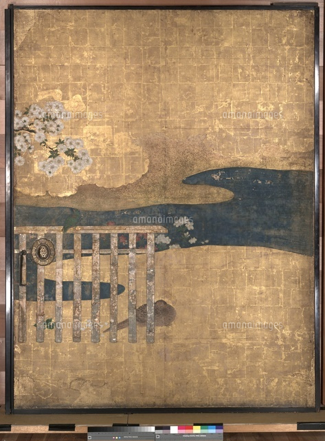 桜花雉子図[20061000245]の写真・イラスト素材｜アマナイメージズ