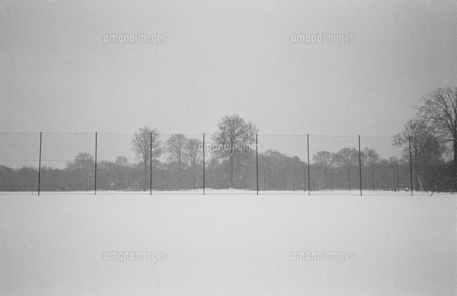 Snow landscape with trees and fence. Brussels, Belgium[20071009047]の写真 ...