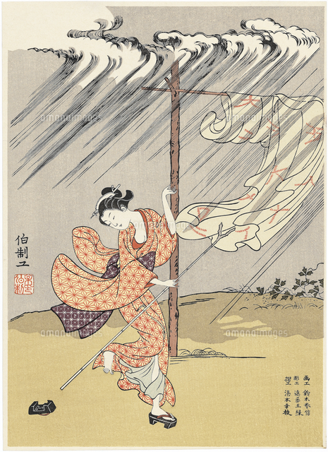 夕立[20072000009]の写真・イラスト素材｜アマナイメージズ