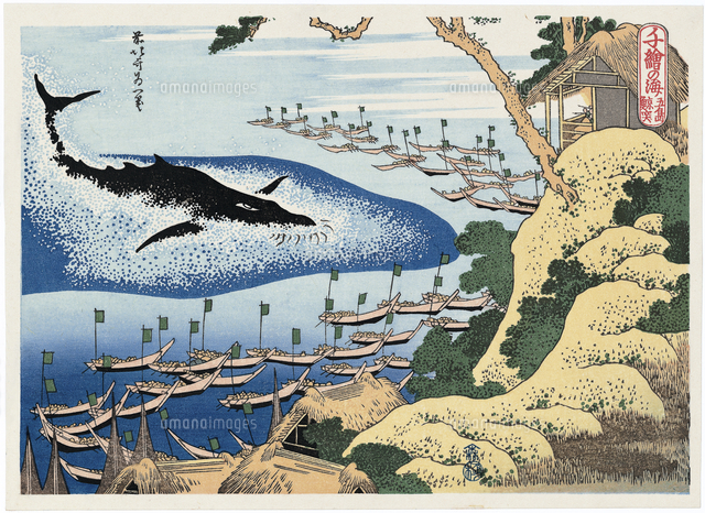 葛飾北斎 「 神奈川沖浪裏 」 複製画 掛軸 (49×56cm) 浮世絵