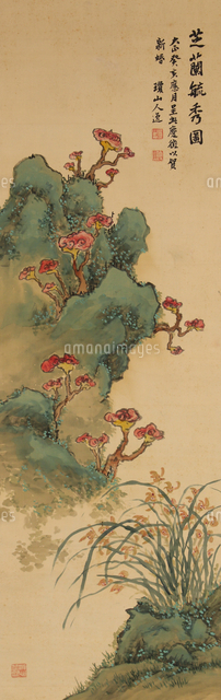 霊芝・蘭図[20076000065]の写真・イラスト素材｜アマナイメージズ