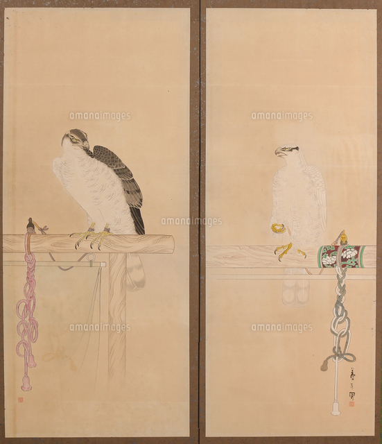 鷹図屏風(部分)[20076000153]の写真・イラスト素材｜アマナイメージズ