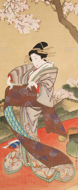 桜下美人画（部分）[20076000492]の写真・イラスト素材｜アマナイメージズ