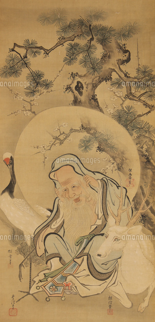 【模写】狩野常信/寿老人図/人物図/掛軸/名家伝来/AD-257 模写】狩野常信/寿老人図/人物図/掛軸/名家伝来/AD-257 絵画